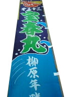 拡大画像