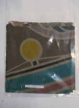 �܂̒��̃n�M���̎ʐ^