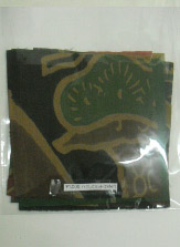 �܂̒��̃n�M���̎ʐ^