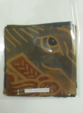 �܂̒��̃n�M���̎ʐ^