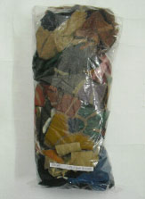 �܂̒��̃n�M���̎ʐ^