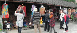uJl̔p2010vʐ^W